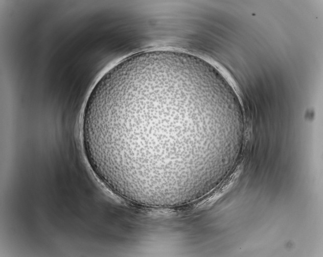 X0000103490957200810031603