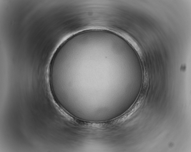 X0000103490958200810031603