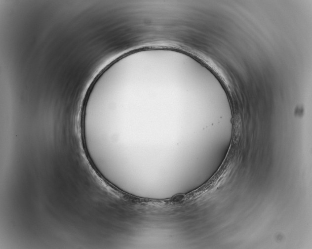 X0000103490959200810031603