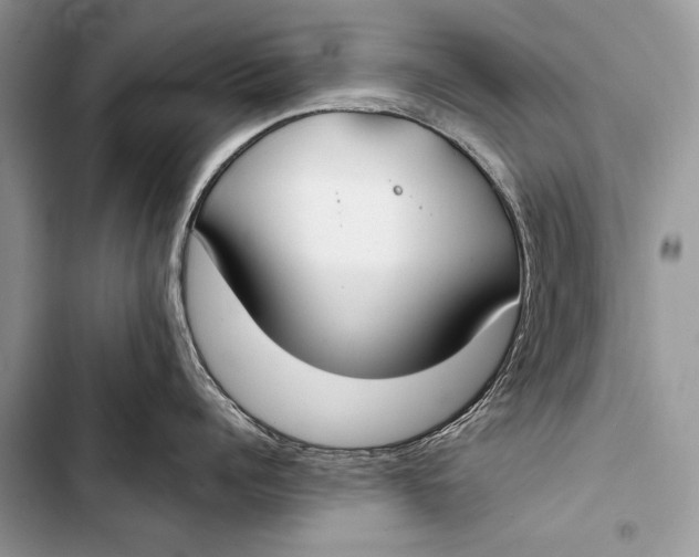 X0000103490960200810031603