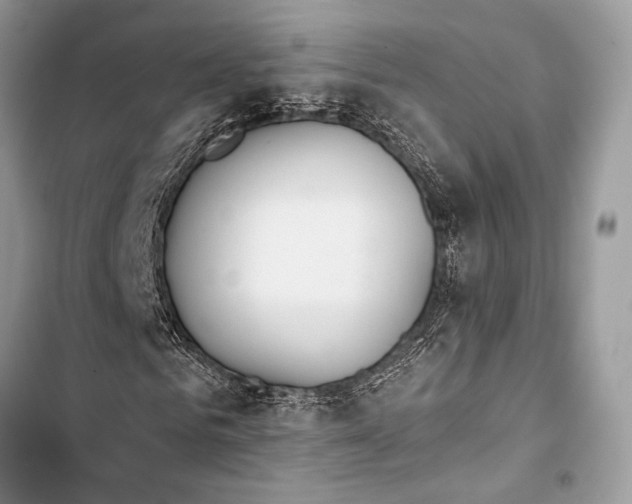 X0000103490961200810031602