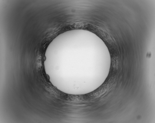 X0000103490962200810031602