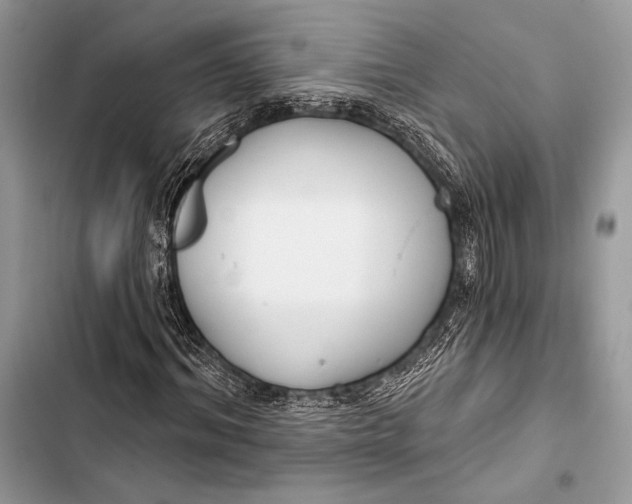 X0000103490964200810031602