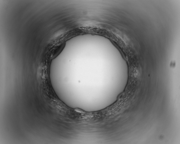 X0000103490965200810031602