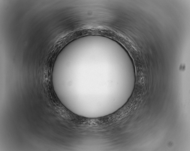 X0000103490966200810031602