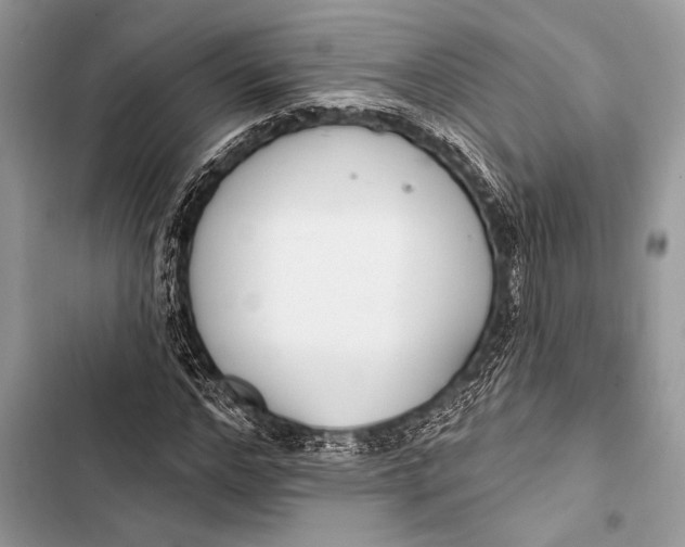 X0000103490968200810031602