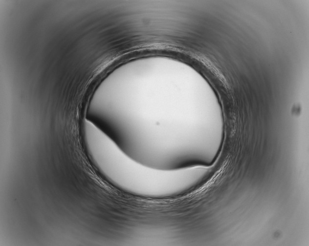 X0000103490969200810031602