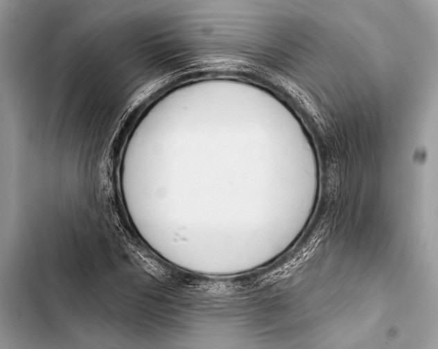 X0000103490970200810031602