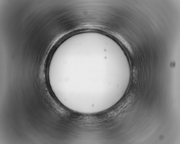 X0000103490972200810031602