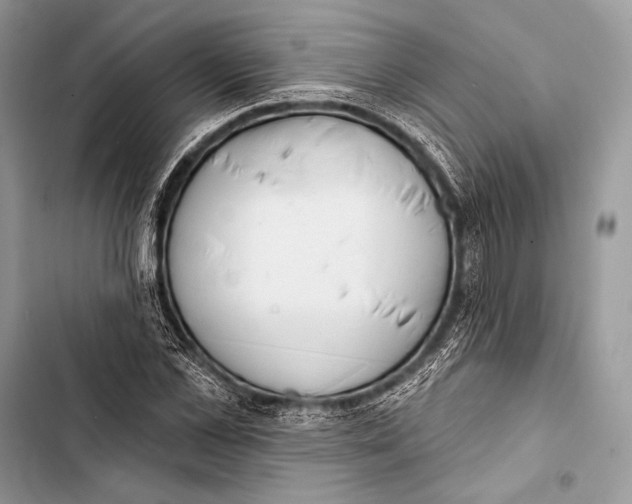 X0000103490973200810031602