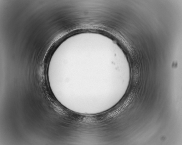 X0000103490974200810031602