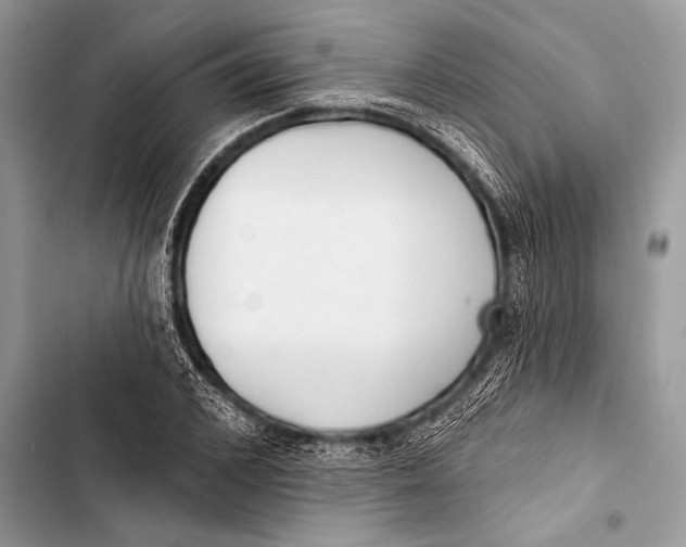 X0000103490976200810031602