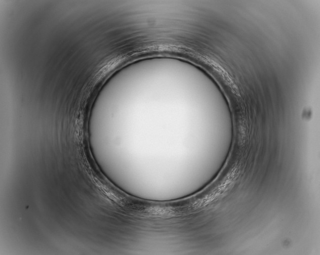 X0000103490977200810031602