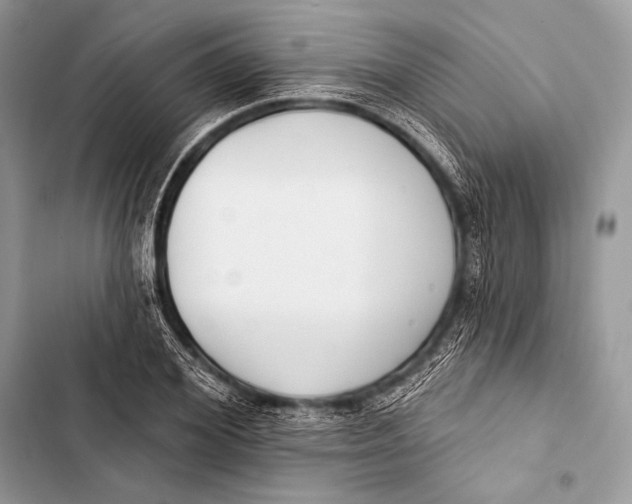 X0000103490980200810031602