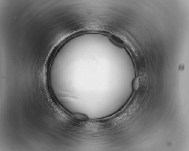 X0000103490981200810031602