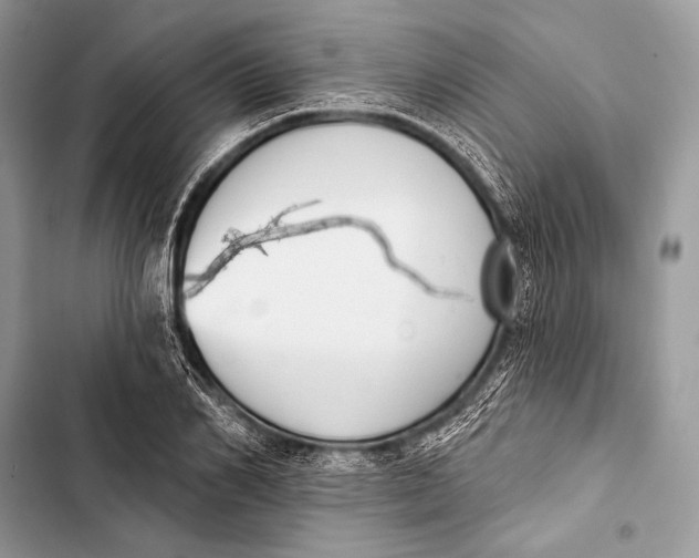 X0000103490982200810031602