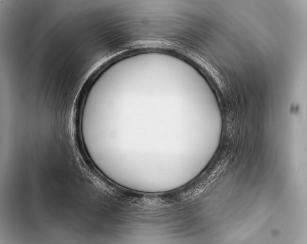 X0000103490983200810031602