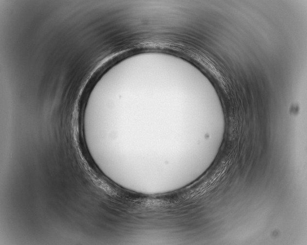 X0000103490984200810031602