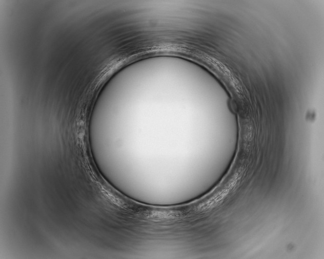 X0000103490985200810031602