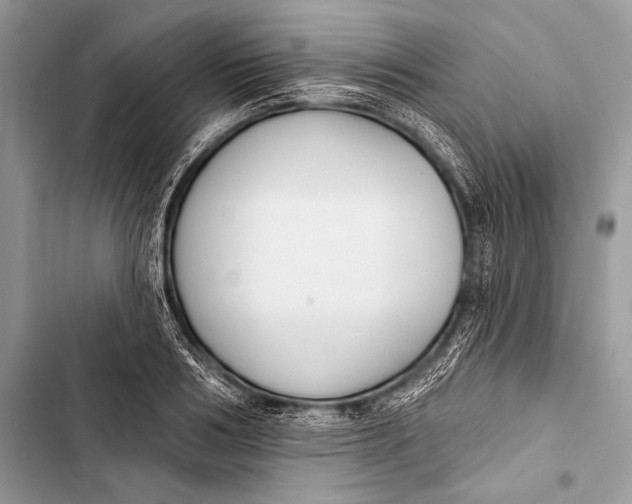 X0000103490986200810031602