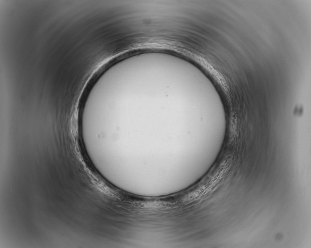 X0000103490988200810031602