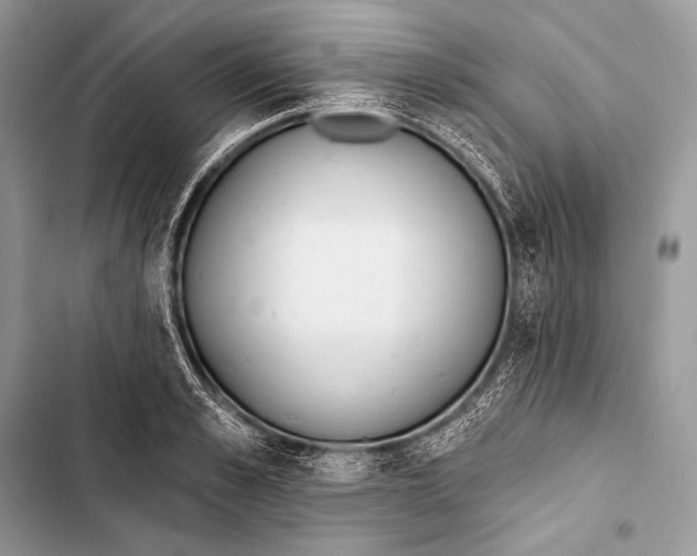 X0000103490989200810031602