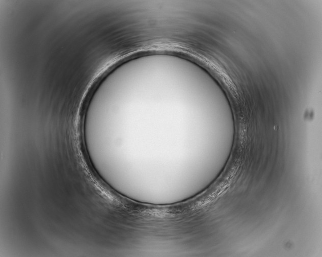 X0000103490990200810031602