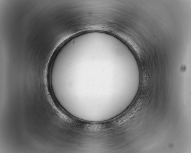 X0000103490991200810031602