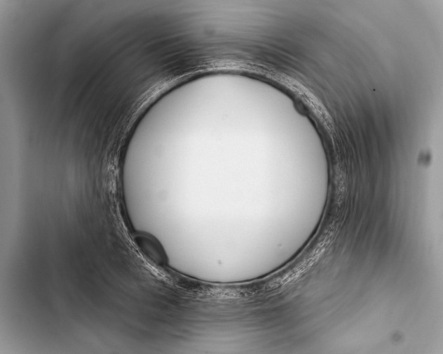 X0000103490993200810031602