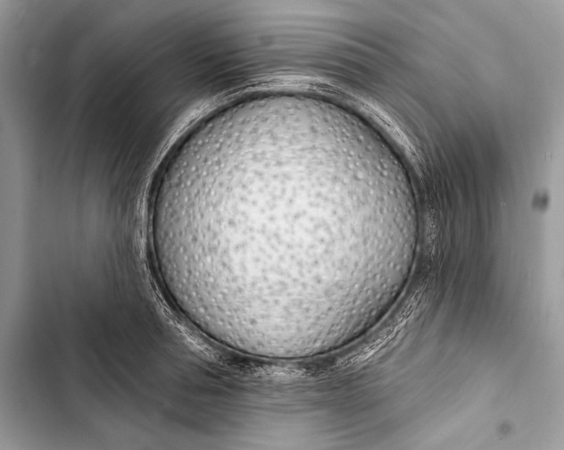 X0000103490994200810031601