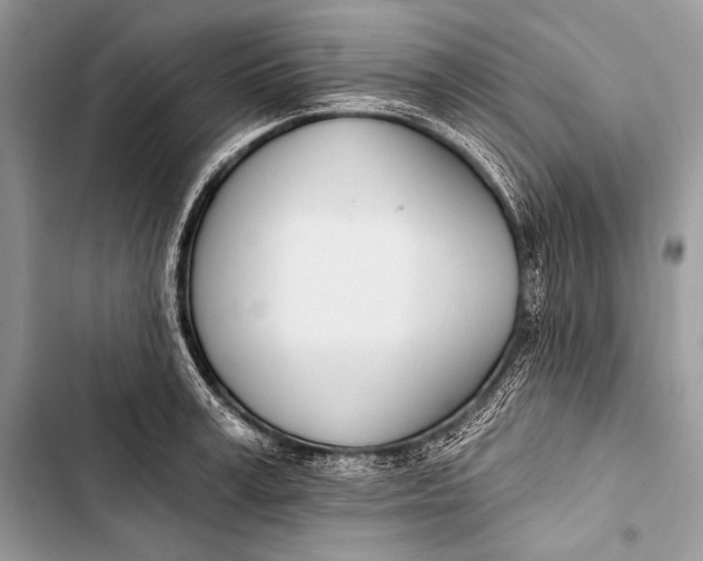 X0000103490995200810031601