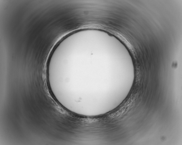 X0000103490996200810031601