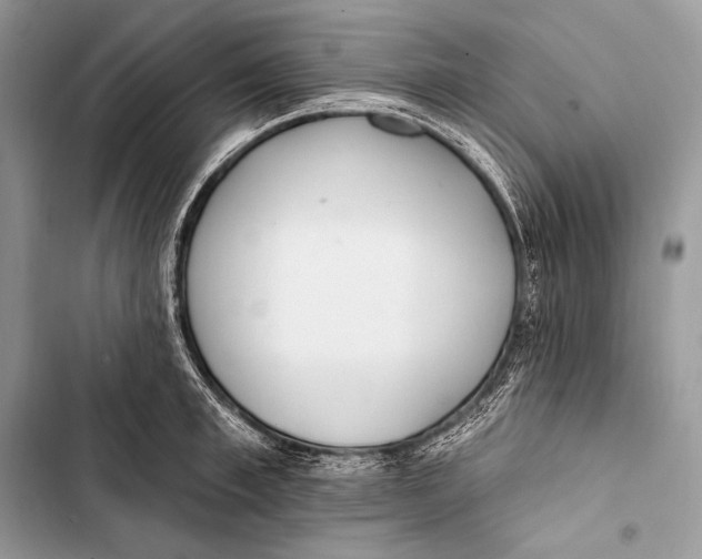 X0000103490997200810031601