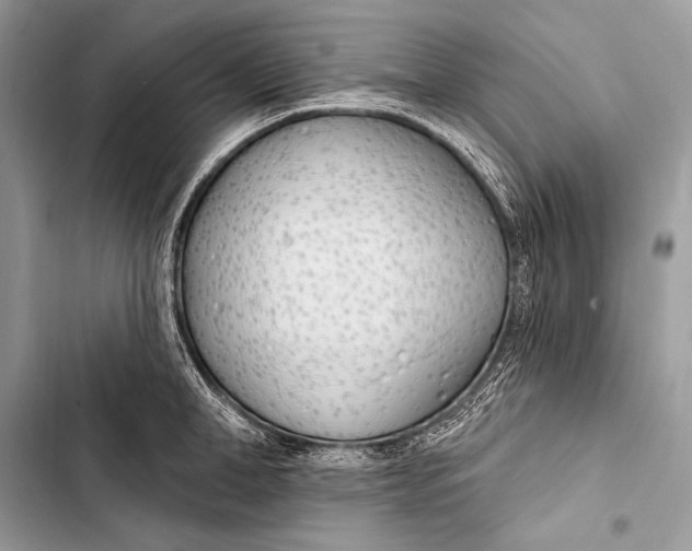 X0000103490998200810031601