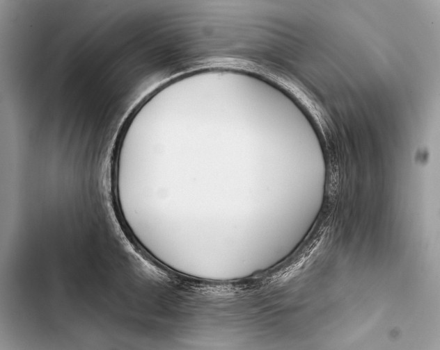 X0000103490999200810031601