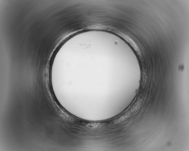 X0000103491000200810031601