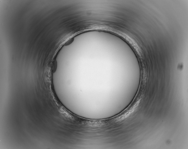 X0000103491001200810031601