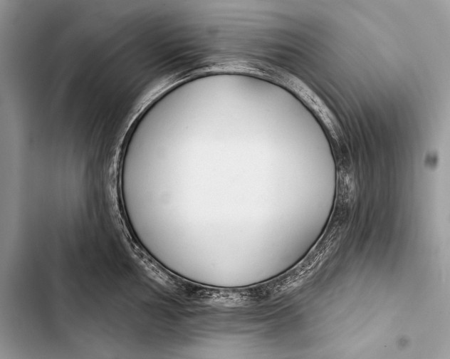 X0000103491002200810031601