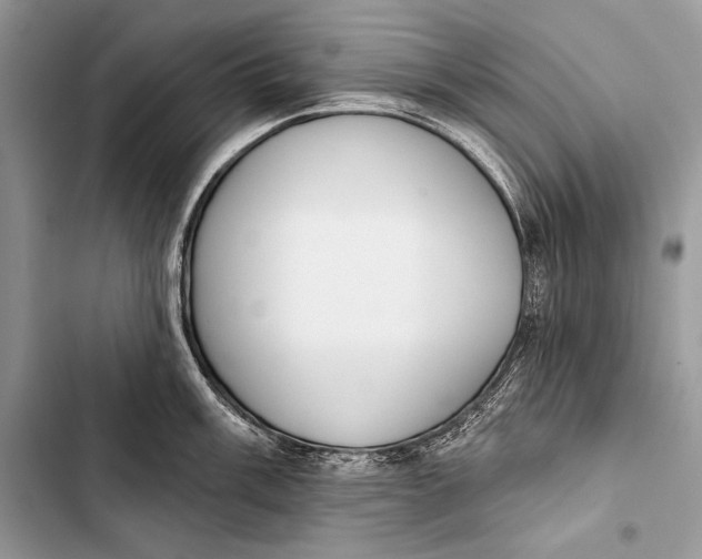 X0000103491003200810031601