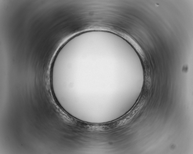 X0000103491004200810031601