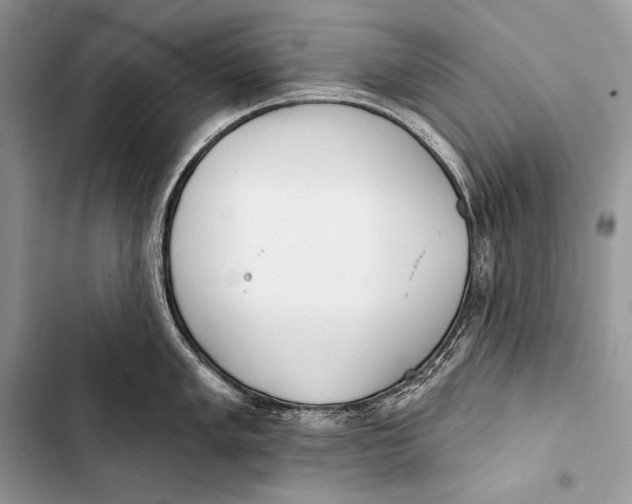 X0000103491005200810031601