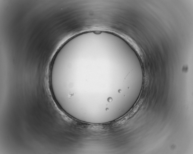 X0000103491006200810031601