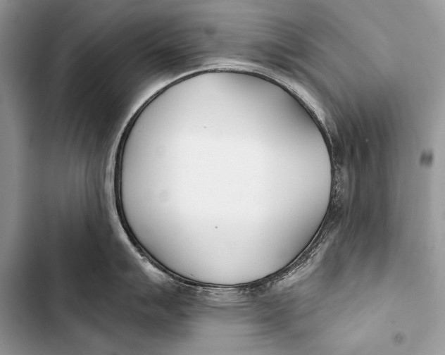 X0000103491007200810031601