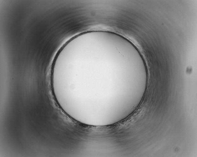 X0000103491008200810031601