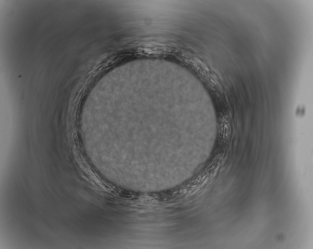 X0000103491009200810031600