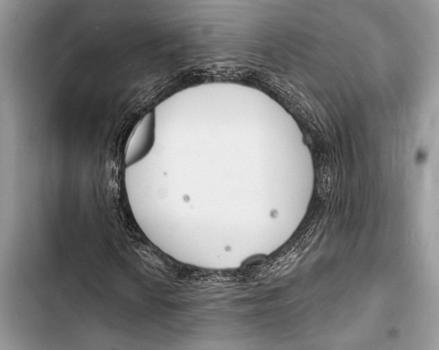 X0000103491010200810031600