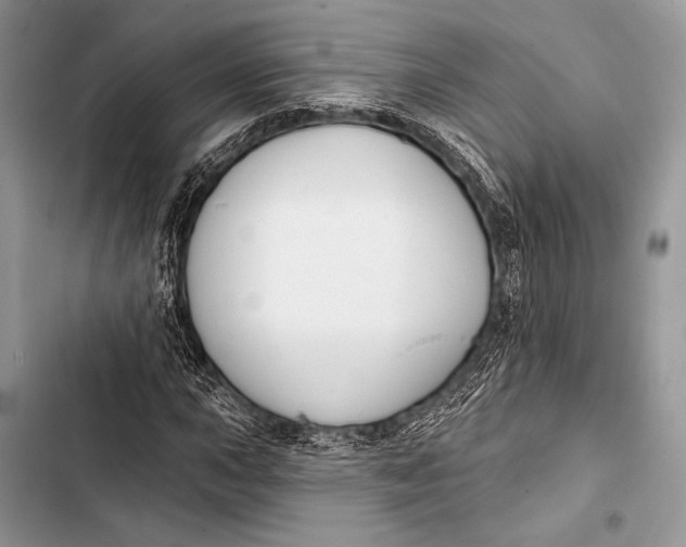 X0000103491015200810031600