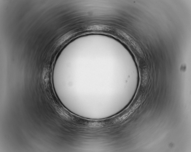 X0000103491017200810031601