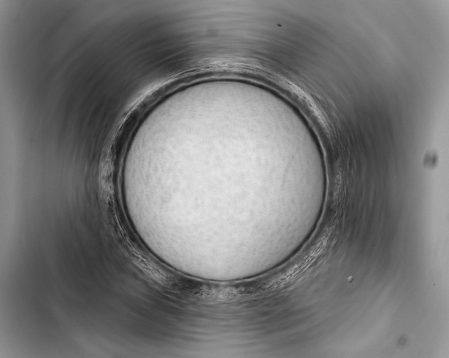 X0000103491019200810031601