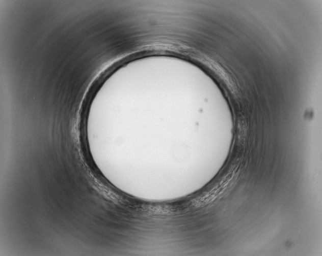 X0000103491020200810031601